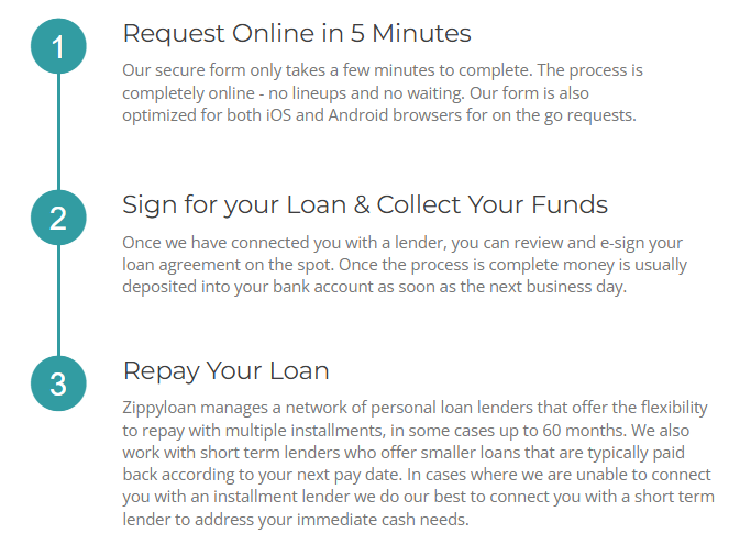 How Does Zippy Loan Work